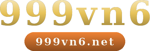 999vn6 logo